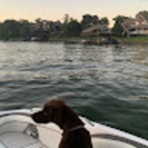 Meet your Posher, Aimee